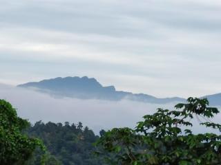 Iliyana Home Stay - 1