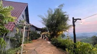 Thảo Nguyên farm&healing - 6