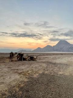 Laurana Rum Luxury Camp - 7