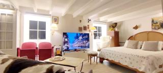 PARIS AUTHENTIC HOUSE open space studio Métro 14 Hôpital Bicêtre, RER B Gentilly - Gentilly - 9