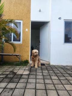 Vista a los Volcanes - 0