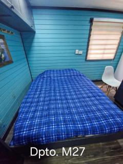 Wildepartamentos Valdivia Studio TM - 6