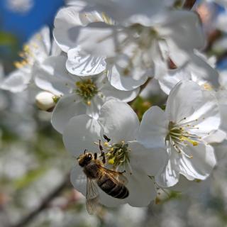 Lägenhet nära naturen - 8