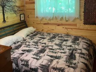 TnT Cabin on Plummer Lake - 3