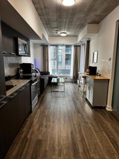 Condo in the heart of toronto - 5