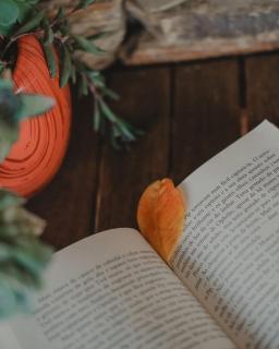 Longra Family Villa & SPA - 7