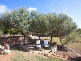 Holiday Home Finca Can Marines by Interhome - 6