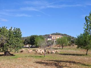 Holiday Home Finca Can Marines by Interhome - 7