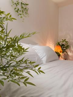 Gangnam-gu Office Station 8 minutes, Cheongdam Wedding Street, Wedding, Makeup, Plastic Surgery - 0