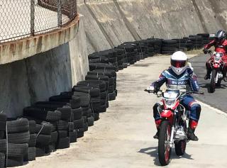 House in the Forest - 5