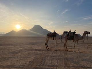 Laurana Rum Luxury Camp - 9