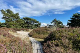 Ljunghusen house, Höllviken close to the beach - 2