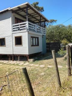 Metamorfosis Aguada - 7