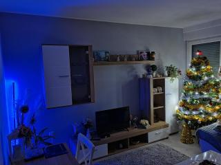 Apartman Ivana - 8