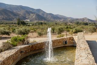 OENO WINE LODGE Valle de Guadalupe - 6