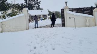 Garden's Paradise - 5