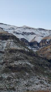 Garden's Paradise - 4