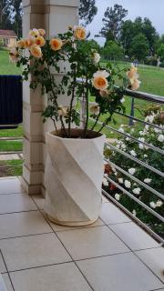 Garden's Paradise - 3