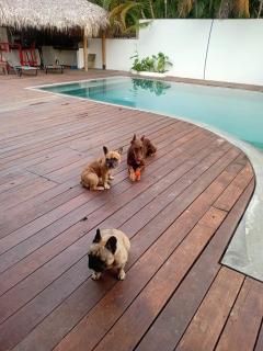 EL Cielo de Cana - 9