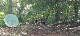 Eco lodge finca magdalena - 9