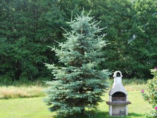 Apartment Fewo Stricker 13 by Interhome - 2