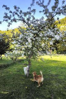 Apartment Sander by Interhome - 8