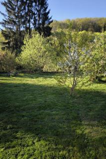 Apartment Sander by Interhome - 7