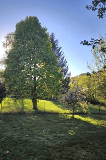 Apartment Sander by Interhome - 5