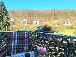 Apartment Sander by Interhome - 2