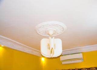 Bel appartement une chambre & un salon L'Amazone - 2