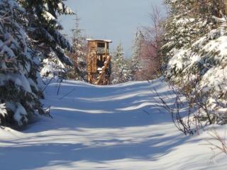 Apartment Fewo Am Skihang OG by Interhome - 1