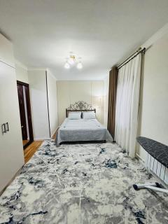 Peaceful place in Central Tashkent - 3