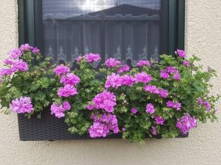 Apartment Am Marsfeld by Interhome - 6