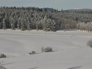 Apartment Wohnung in Hohegeiß mit Grill und Garten by Interhome - 4