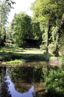 Apartment Wohlfühloase für Natur- und Gartenliebhaber by Interhome - 9