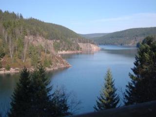 Holiday Home Thüringer Landhaus by Interhome - 9