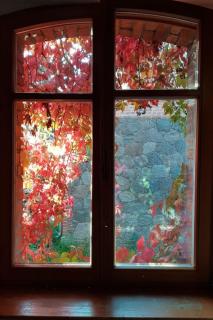 Apartment Wohnung in Haselberg mit Großem Garten by Interhome - 1