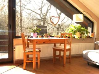 Apartment Gemütliches Appartement in Ottenhai mit Grill by Interhome - 1