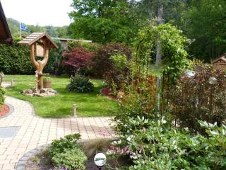 Apartment Gemütliches Appartement in Ottenhai mit Grill by Interhome - 3