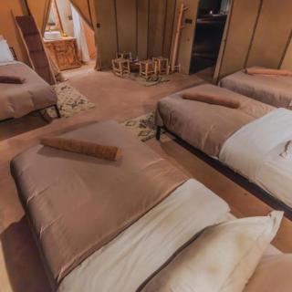 Sahara Nights Luxury Camp - 5