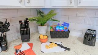 Bird of Paradise l 1BD Lux King in NE Jax - 8