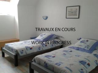 La glycine baie du Mont St Michel - 6