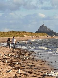 La glycine baie du Mont St Michel - 1