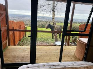 The Cabin in the Woods - Dublin - 9