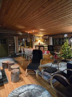 Hillavilla in the shore of lake Inari - 3