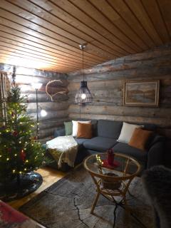 Hillavilla in the shore of lake Inari - 2