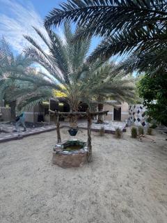 شاليه ندى - 9