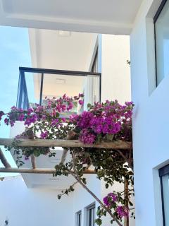 Oasis Roraimar - Refúgio em Maragogi - 6