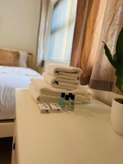 Newly renovated Lindeburgh Retreat, 2BR Apartment - 7