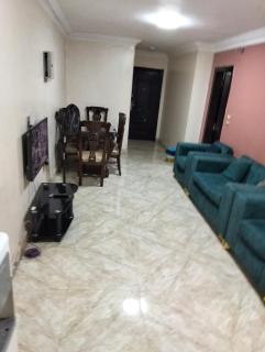 Panoramic Nile View Tower Apartment - 7